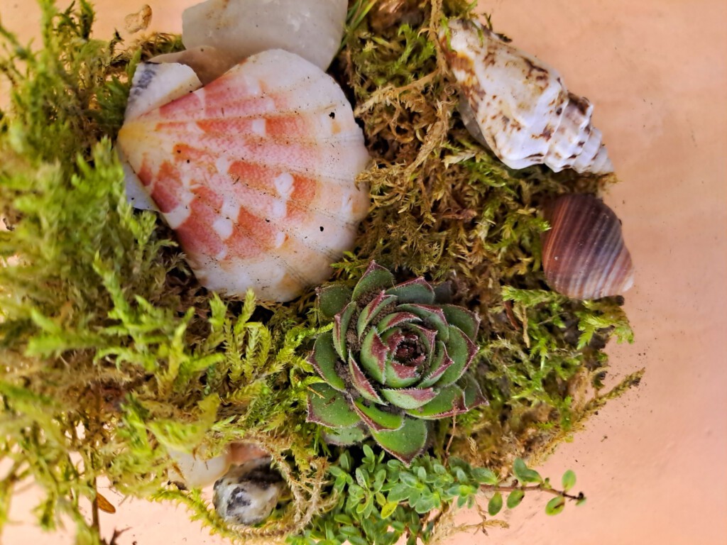 Mikropasaulis