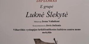 VI respublikinis muzikos ir meno mokyklų jaunųjų violončelininkų ir kontrabosistų konkursas „Cello virtuoso”