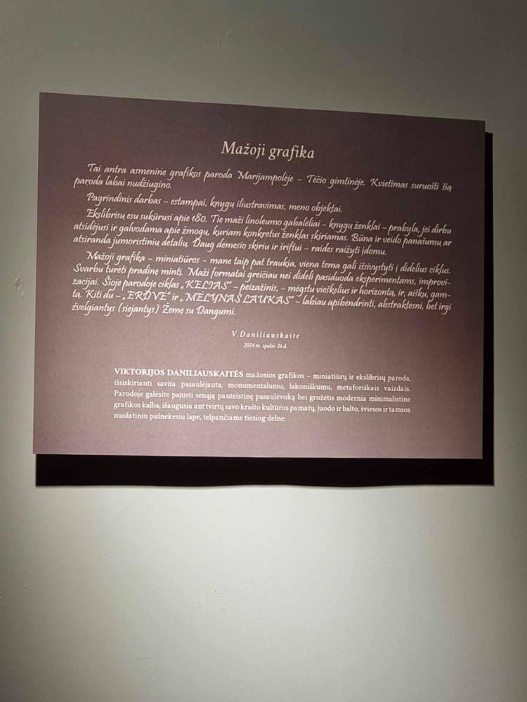 Edukacija ,,Pažink save per meną”
