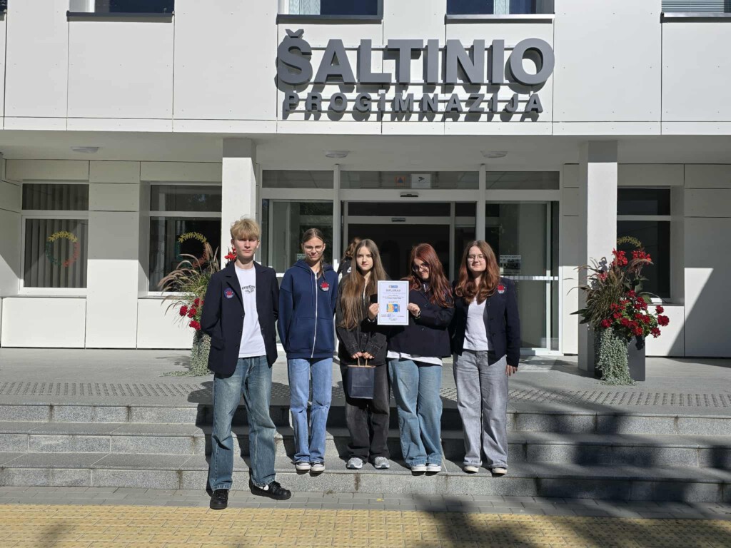 Navigating through the maze of European languages