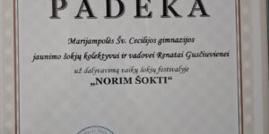 Šokių festivalis „Norim šokti“!