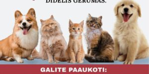AKCIJA „PAREMKIME MARIJAMPOLĖS BEGLOBIUS GYVŪNUS“